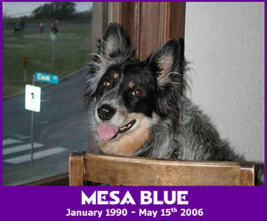 Mesa Blue